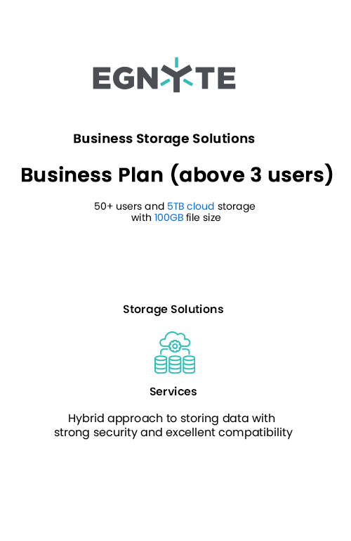 Egnyte Cloud Business Storage Solution -Business Plan (above 3 users)